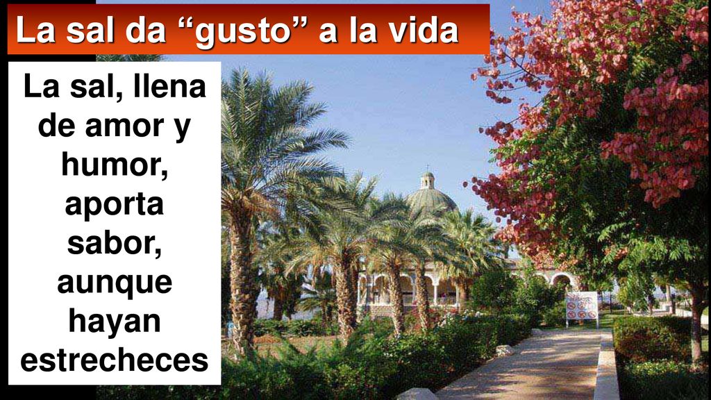 La sal, llena de amor y humor, aporta sabor, aunque hayan estrecheces