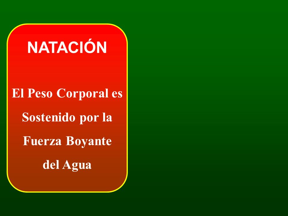 El Peso Corporal es Sostenido por la Fuerza Boyante del Agua