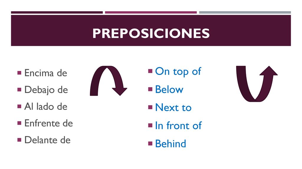 Preposiciones On top of Below Next to In front of Behind Encima de