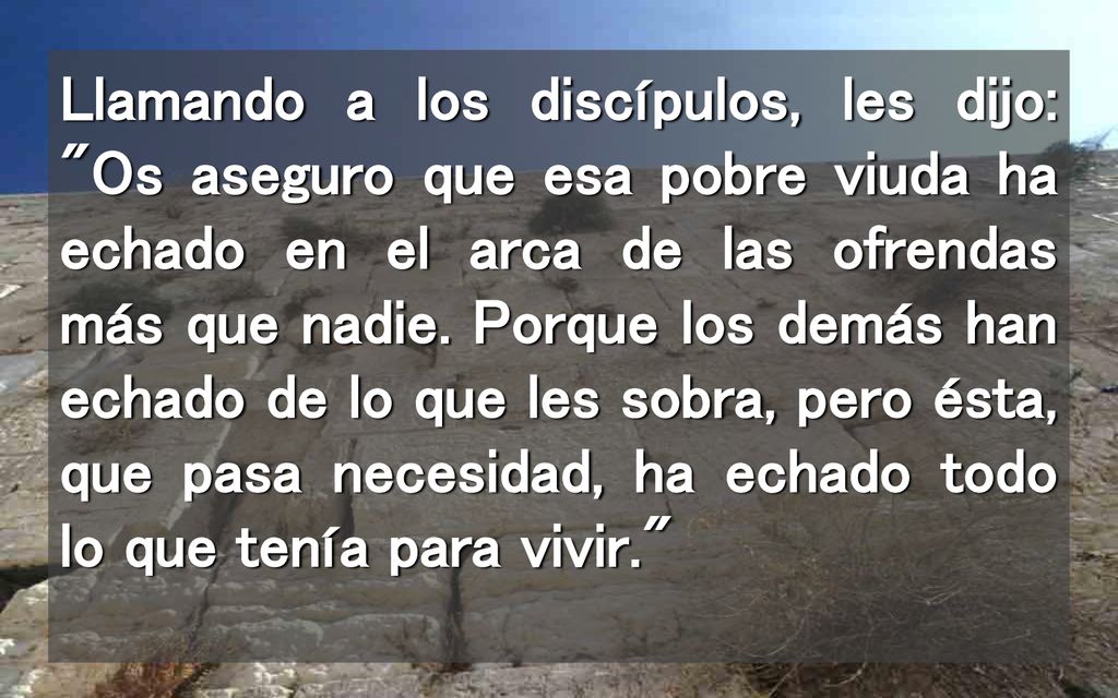 Llamando a los discípulos, les dijo: Os aseguro que esa pobre viuda ha echado en el arca de las ofrendas más que nadie.