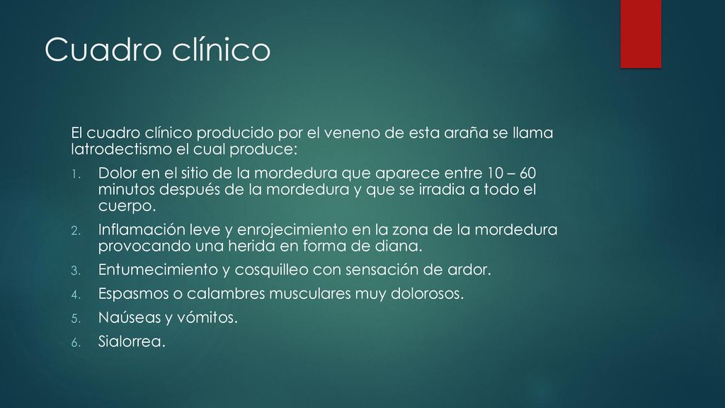 Cuadro clínico El cuadro clínico producido por el veneno de esta araña se llama latrodectismo el cual produce: