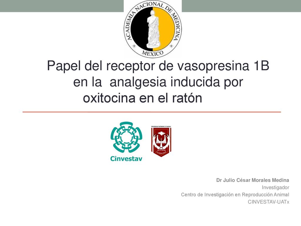 Papel del receptor de vasopresina 1B en la analgesia inducida por oxitocina en el ratón