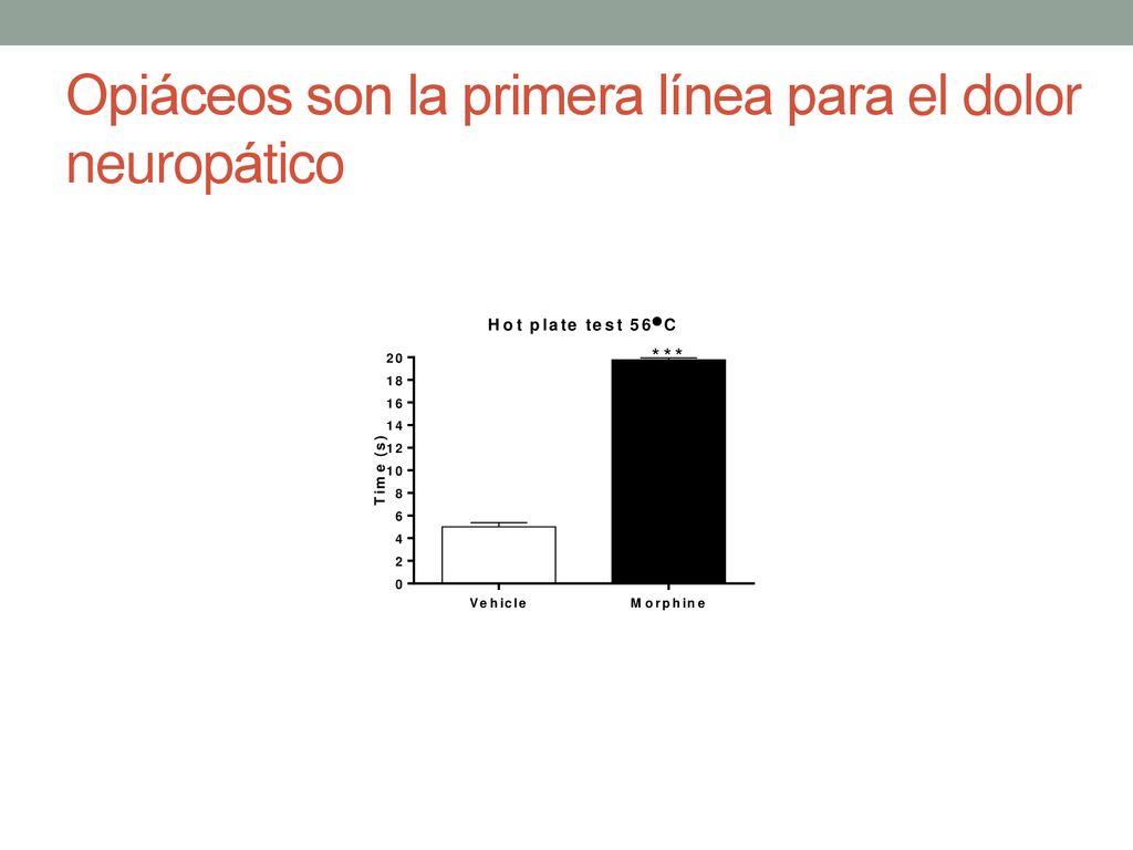 Opiáceos son la primera línea para el dolor neuropático