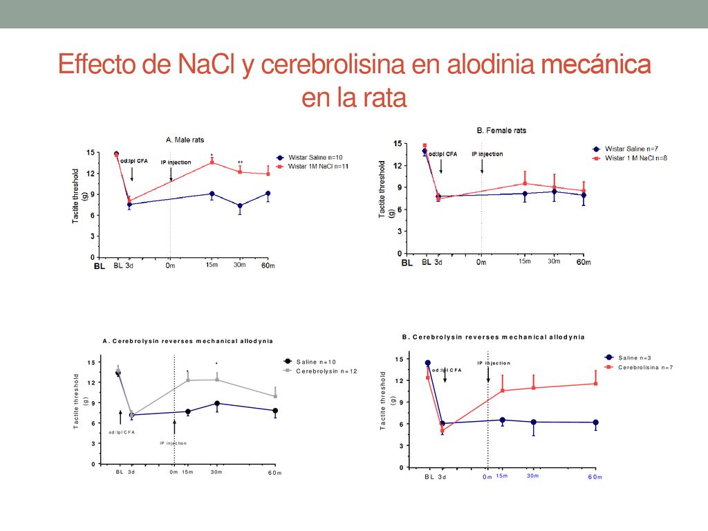 Effecto de NaCl y cerebrolisina en alodinia mecánica en la rata
