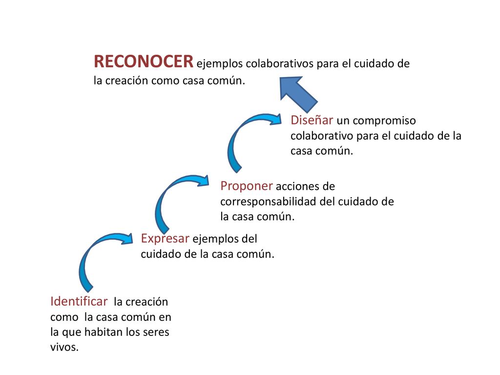 RECONOCER ejemplos colaborativos para el cuidado de la creación como casa común.