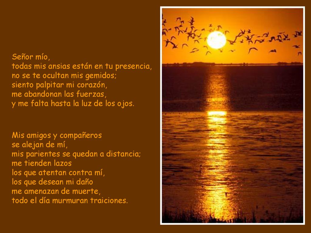 Señor mío, todas mis ansias están en tu presencia, no se te ocultan mis gemidos; siento palpitar mi corazón, me abandonan las fuerzas, y me falta hasta la luz de los ojos.