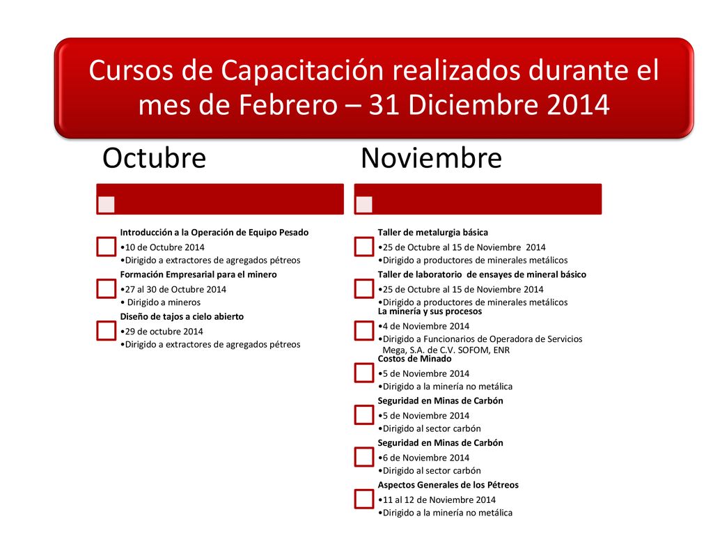 Cursos de Capacitación realizados durante el mes de Febrero – 31 Diciembre 2014