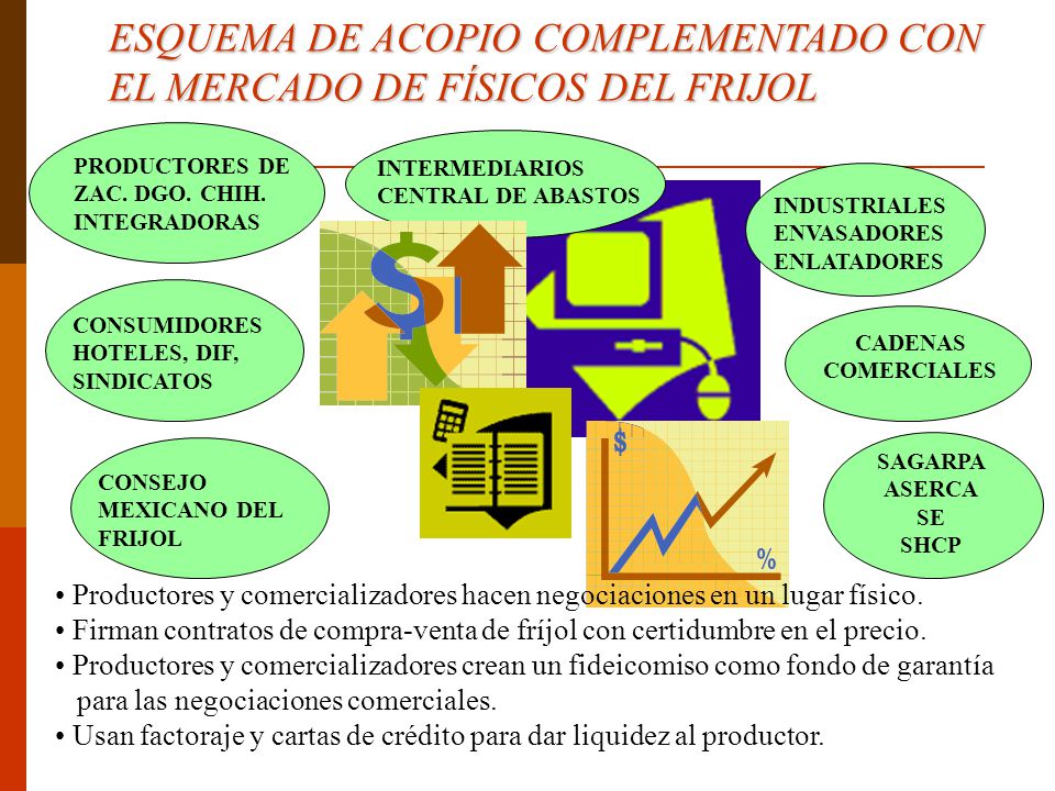 ESQUEMA DE ACOPIO COMPLEMENTADO CON EL MERCADO DE FÍSICOS DEL FRIJOL