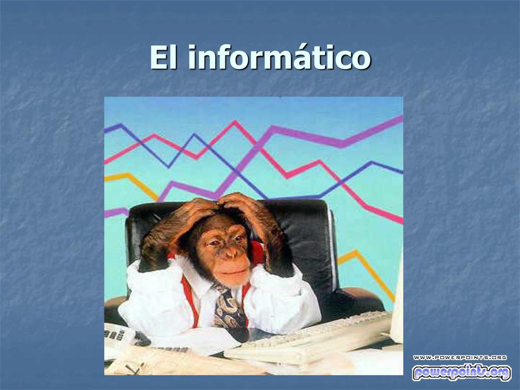 El informático Pas de panique, c’est un air qu’il se donne.