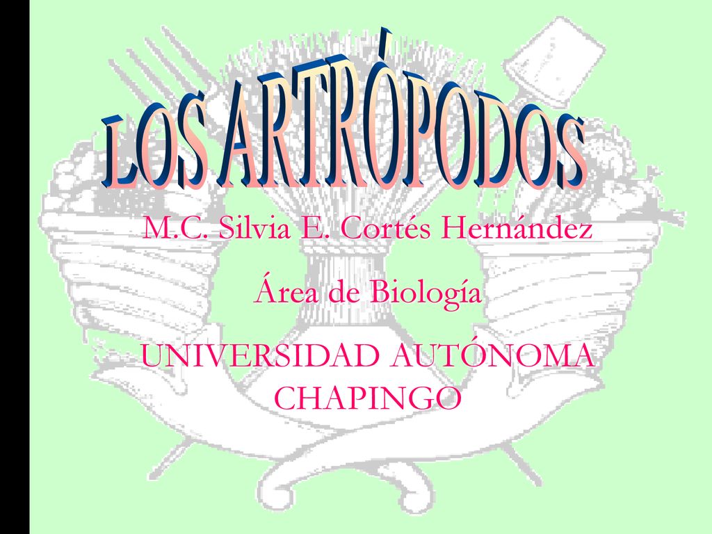M.C. Silvia E. Cortés Hernández Área de Biología