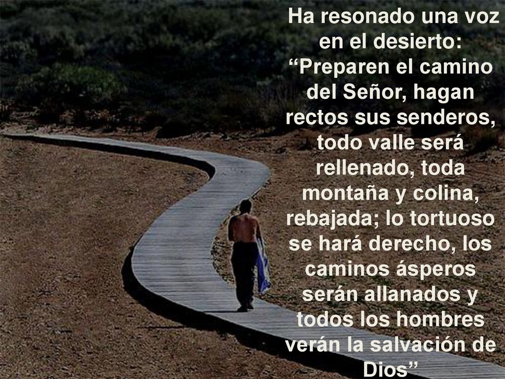 Ha resonado una voz en el desierto: Preparen el camino del Señor, hagan rectos sus senderos, todo valle será rellenado, toda montaña y colina, rebajada; lo tortuoso se hará derecho, los caminos ásperos serán allanados y todos los hombres verán la salvación de Dios