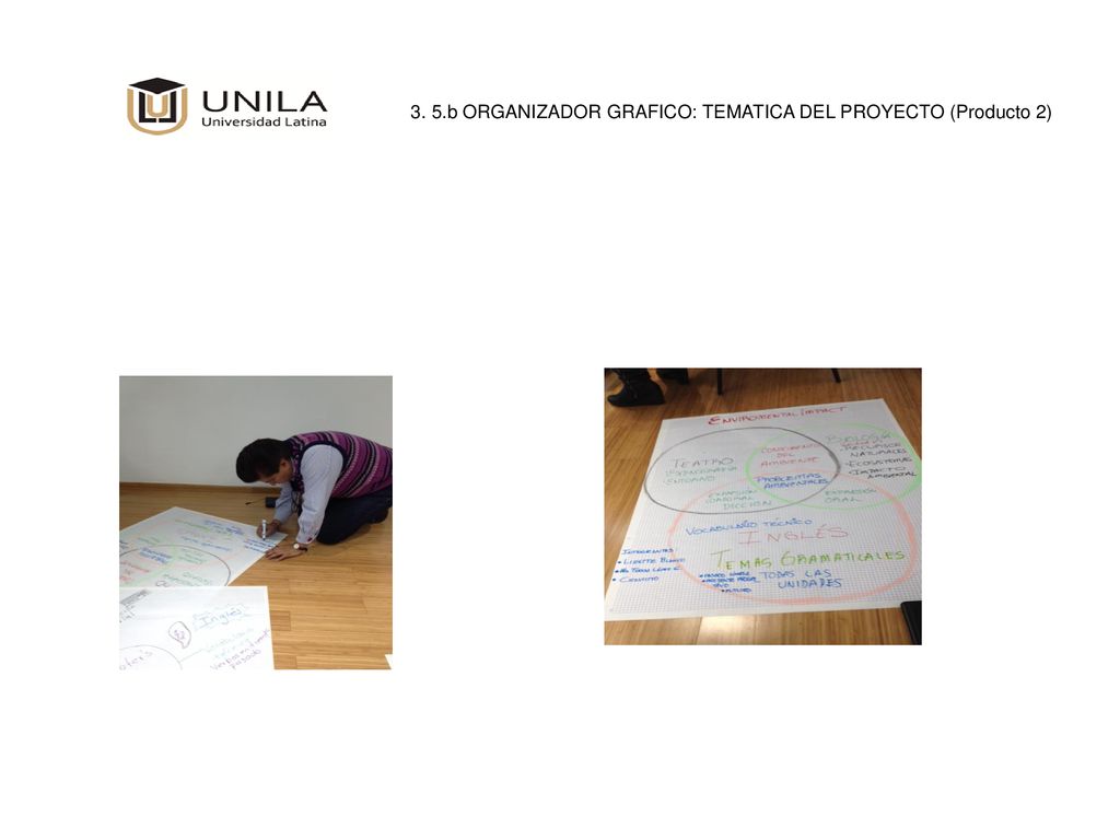 3. 5.b ORGANIZADOR GRAFICO: TEMATICA DEL PROYECTO (Producto 2)