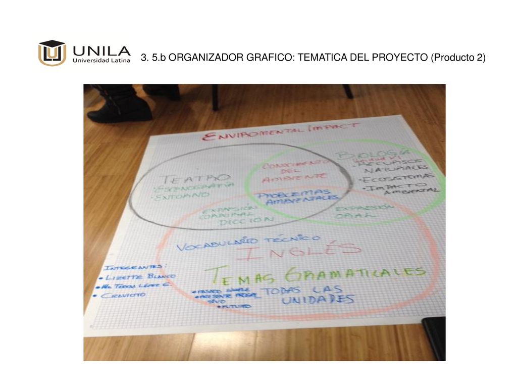 3. 5.b ORGANIZADOR GRAFICO: TEMATICA DEL PROYECTO (Producto 2)