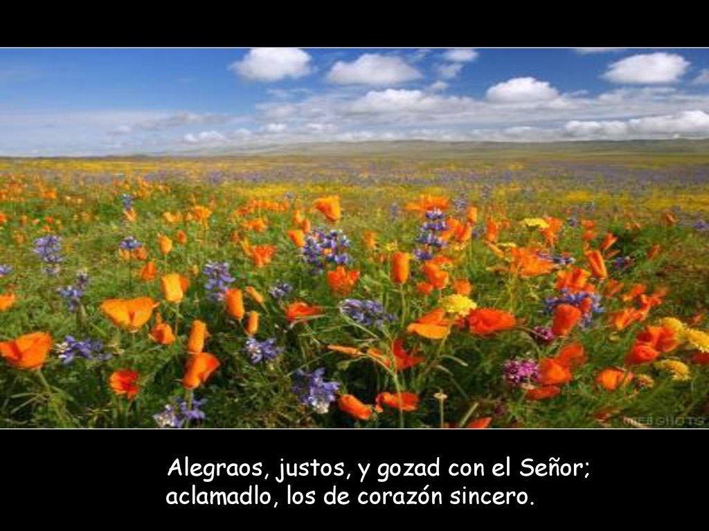 Alegraos, justos, y gozad con el Señor; aclamadlo, los de corazón sincero.