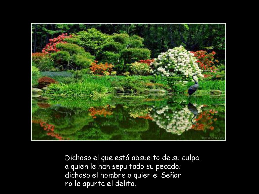 Dichoso el que está absuelto de su culpa, a quien le han sepultado su pecado; dichoso el hombre a quien el Señor no le apunta el delito.