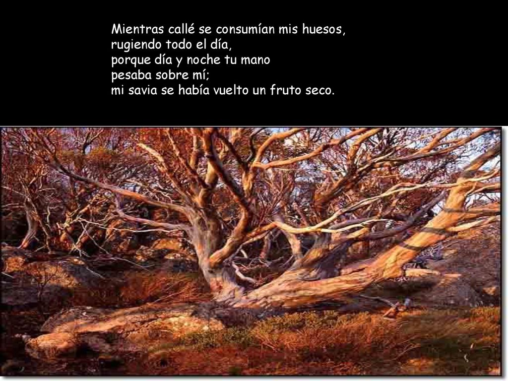 Mientras callé se consumían mis huesos, rugiendo todo el día, porque día y noche tu mano pesaba sobre mí; mi savia se había vuelto un fruto seco.