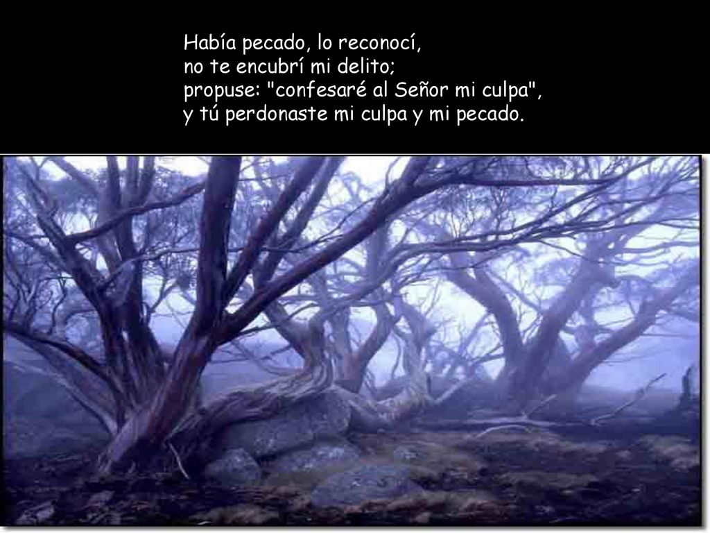 Había pecado, lo reconocí, no te encubrí mi delito; propuse: confesaré al Señor mi culpa , y tú perdonaste mi culpa y mi pecado.