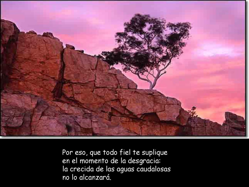 Por eso, que todo fiel te suplique en el momento de la desgracia: la crecida de las aguas caudalosas no lo alcanzará.