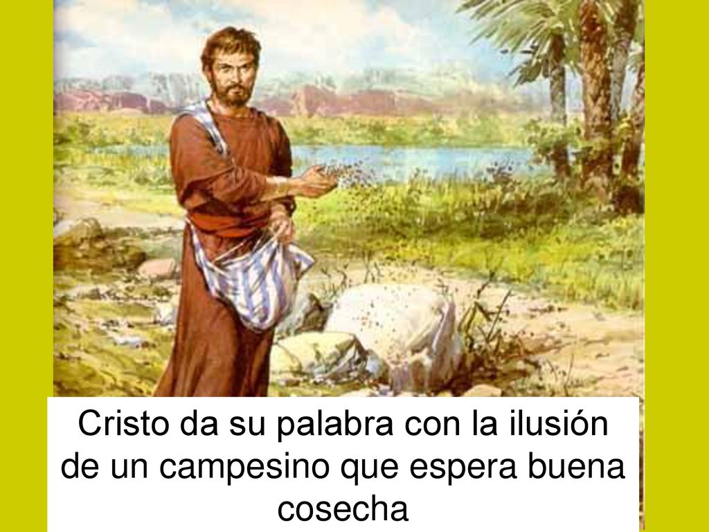 Cristo da su palabra con la ilusión de un campesino que espera buena cosecha