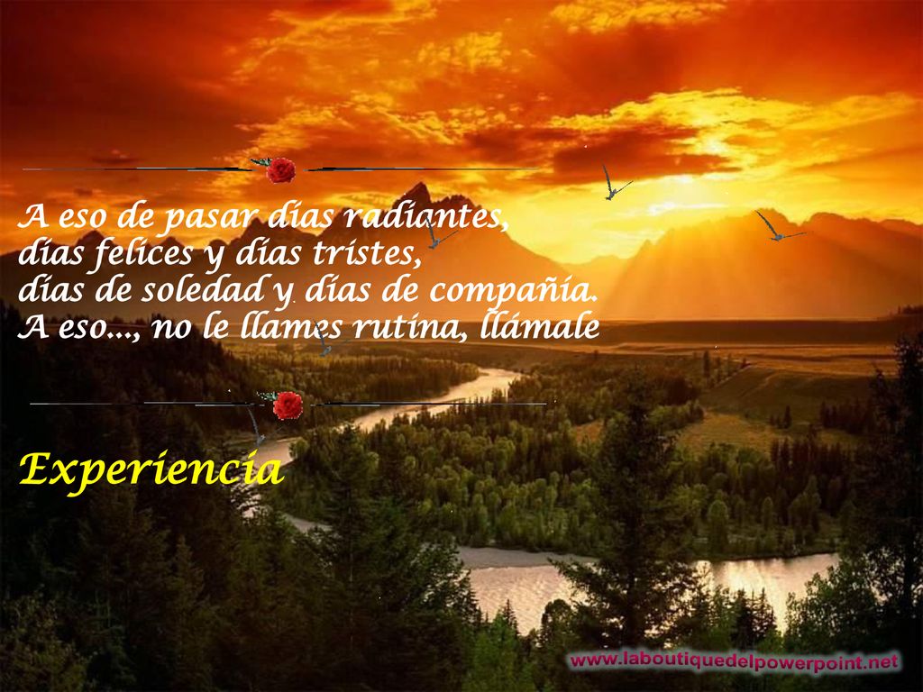 A eso de pasar días radiantes, días felices y días tristes, días de soledad y días de compañía. A eso..., no le llames rutina, llámale