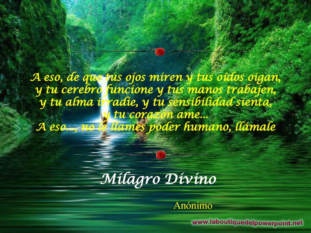 A eso, de que tus ojos miren y tus oídos oigan, y tu cerebro funcione y tus manos trabajen, y tu alma irradie, y tu sensibilidad sienta, y tu corazón ame... A eso..., no le llames poder humano, llámale