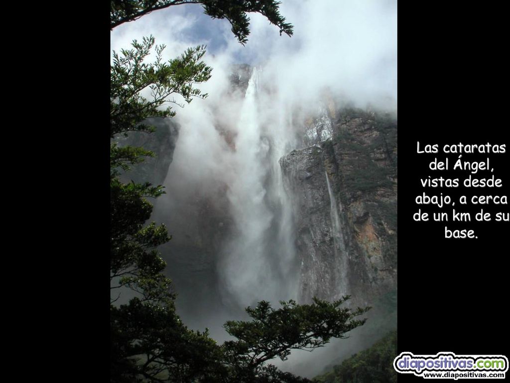 Las cataratas del Ángel, vistas desde abajo, a cerca de un km de su base.
