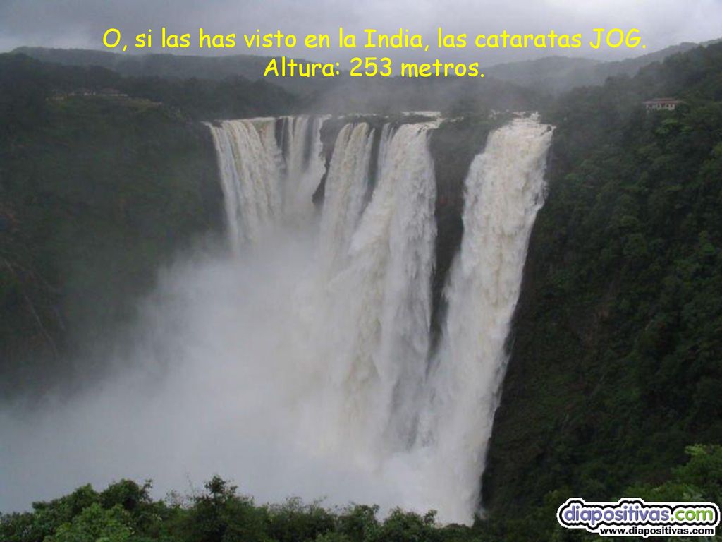 O, si las has visto en la India, las cataratas JOG. Altura: 253 metros.