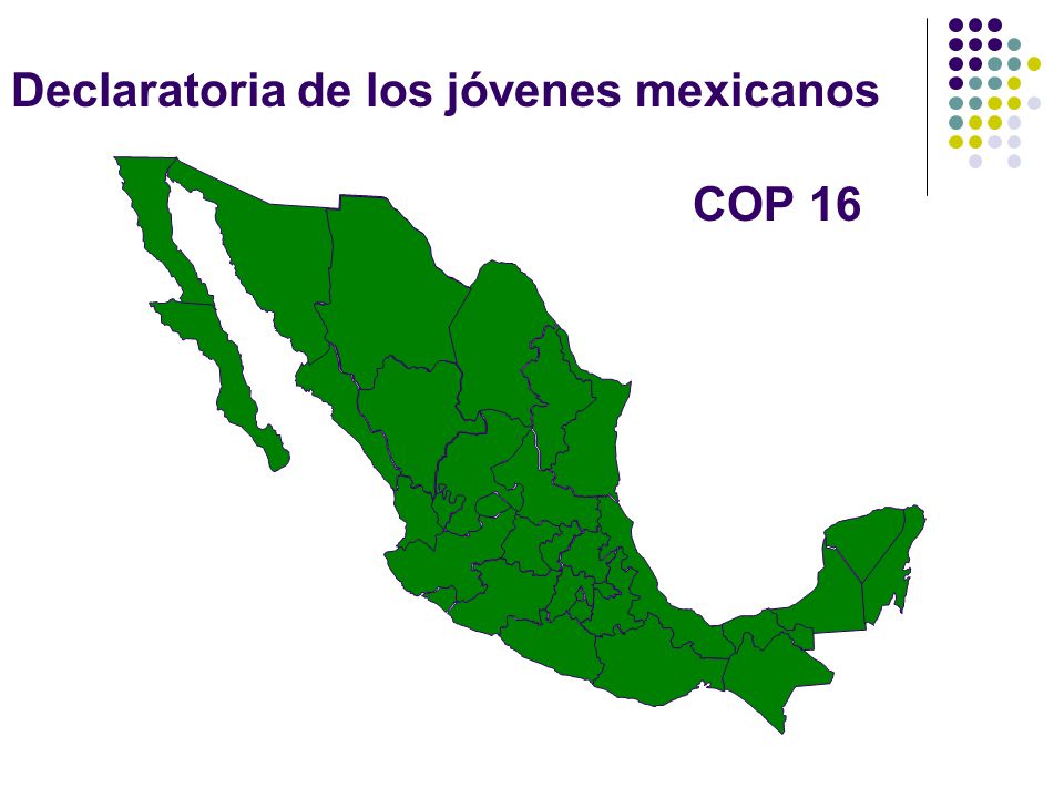 Declaratoria de los jóvenes mexicanos