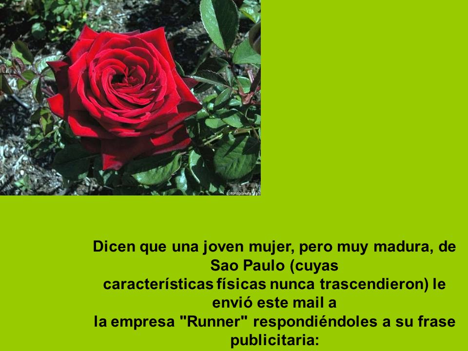 Dicen que una joven mujer, pero muy madura, de Sao Paulo (cuyas características físicas nunca trascendieron) le envió este mail a la empresa Runner respondiéndoles a su frase publicitaria: