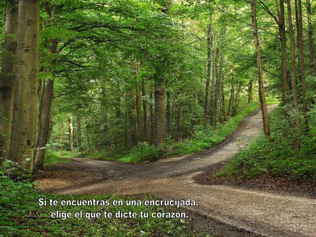 Si te encuentras en una encrucijada, elige el que te dicte tú corazón.