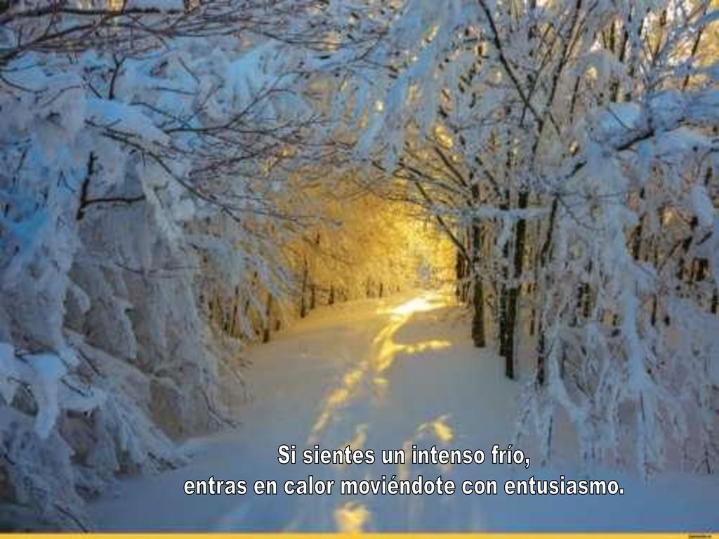 Si sientes un intenso frío, entras en calor moviéndote con entusiasmo.