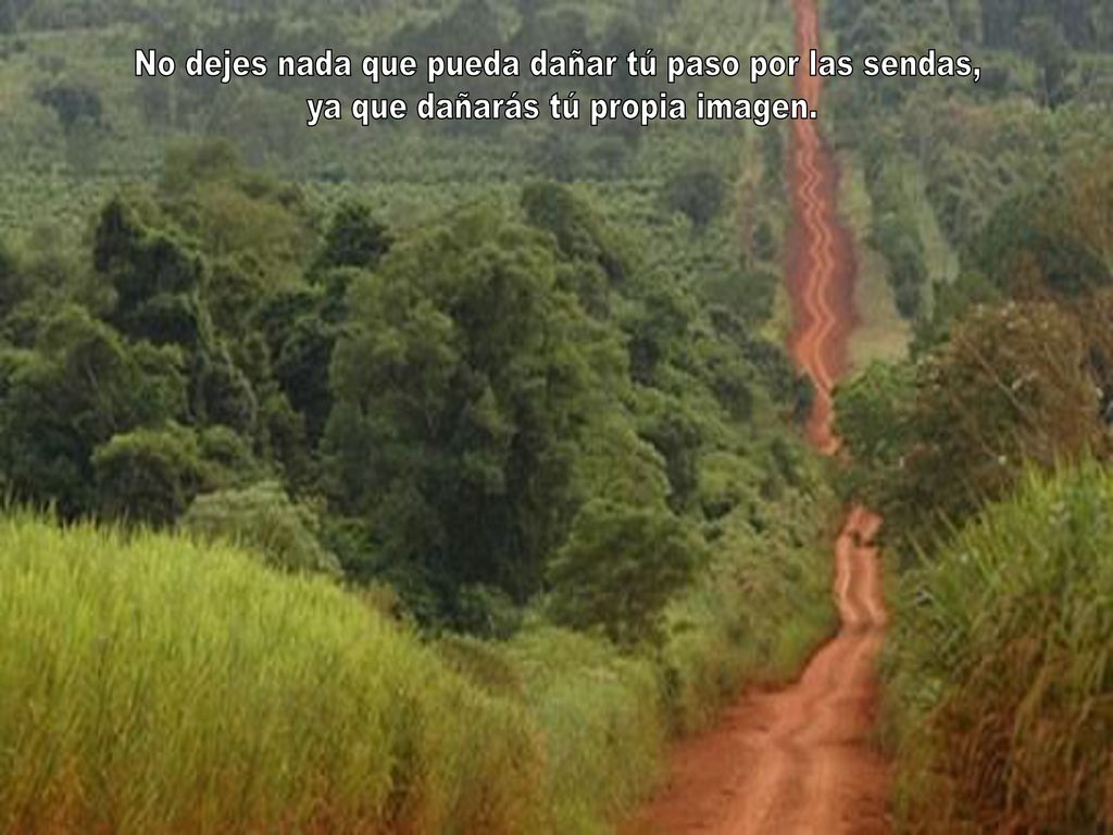 No dejes nada que pueda dañar tú paso por las sendas,