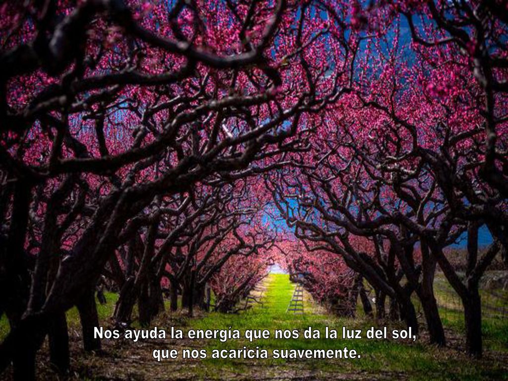 Nos ayuda la energía que nos da la luz del sol,