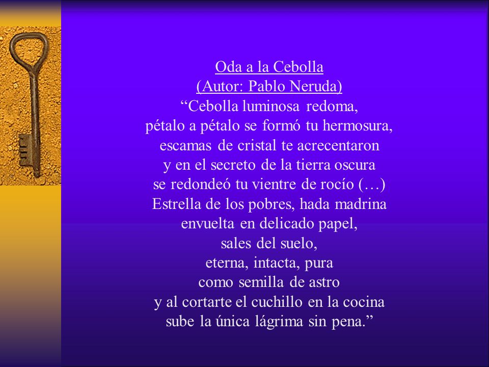 Cebolla luminosa redoma, pétalo a pétalo se formó tu hermosura,