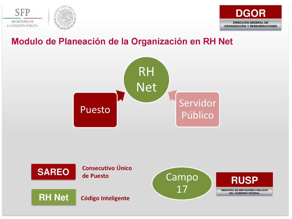 RH Net Campo 17 Servidor Público Puesto DGOR RUSP