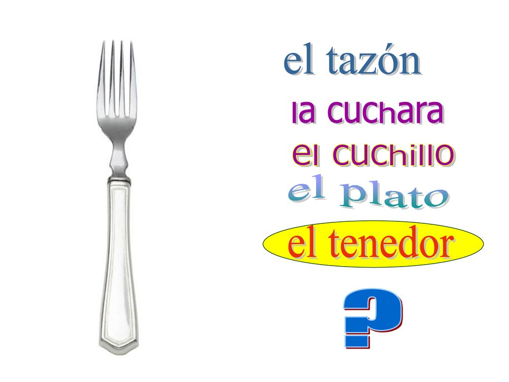 el tazón la cuchara el cuchillo el plato el tenedor