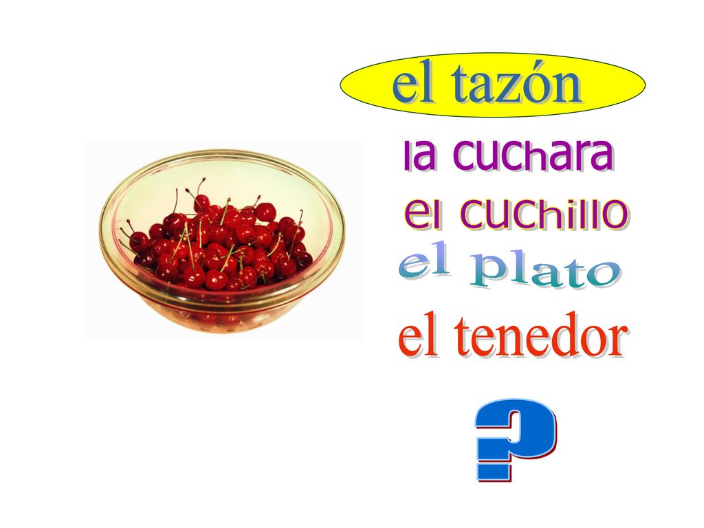 el tazón la cuchara el cuchillo el plato el tenedor