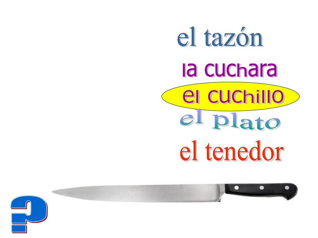 el tazón la cuchara el cuchillo el plato el tenedor