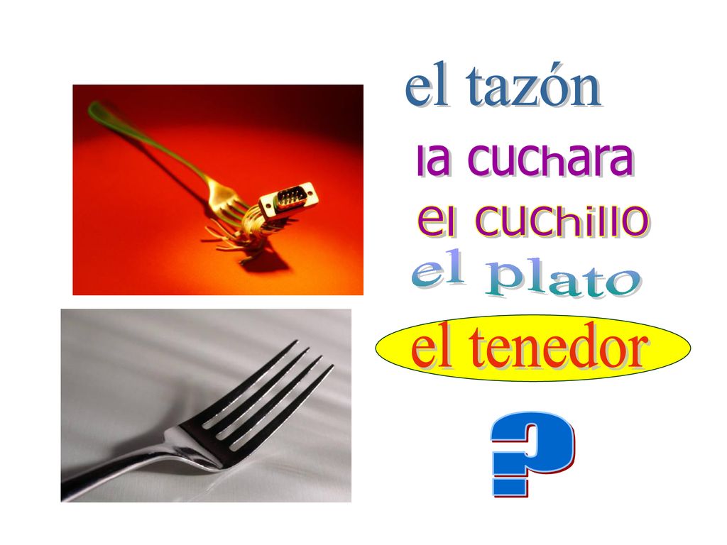 el tazón la cuchara el cuchillo el plato el tenedor