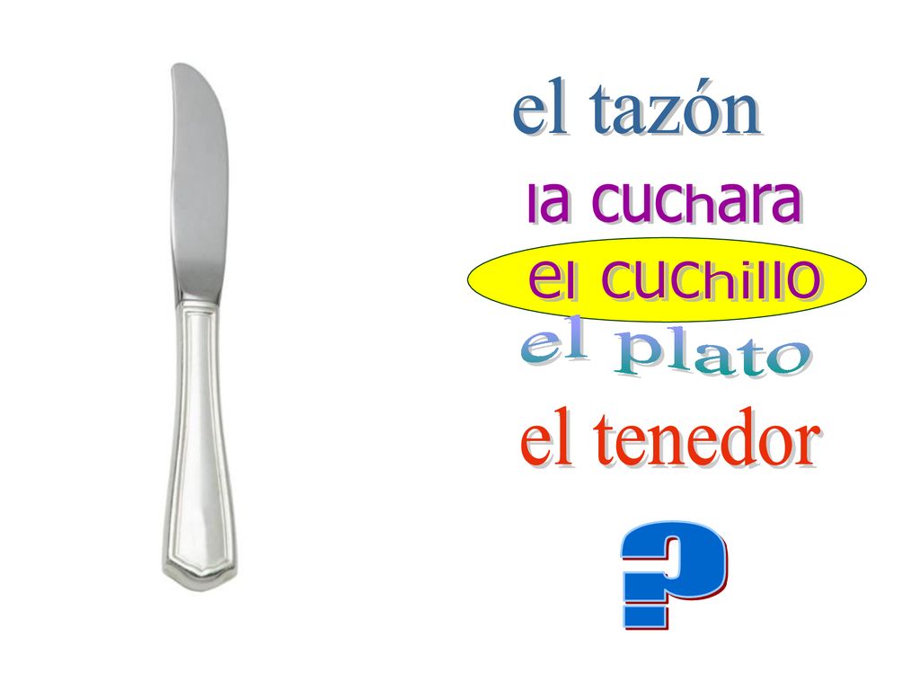 el tazón la cuchara el cuchillo el plato el tenedor