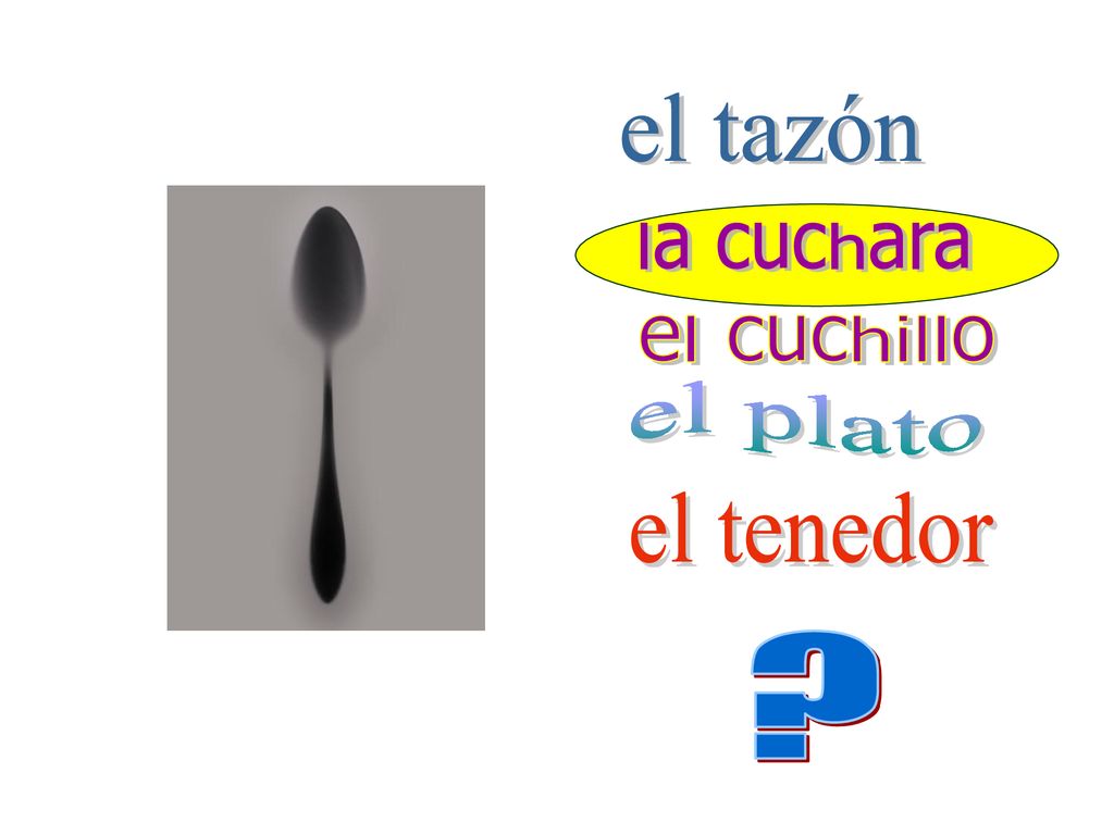 el tazón la cuchara el cuchillo el plato el tenedor