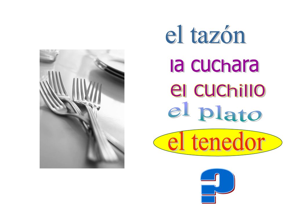 el tazón la cuchara el cuchillo el plato el tenedor