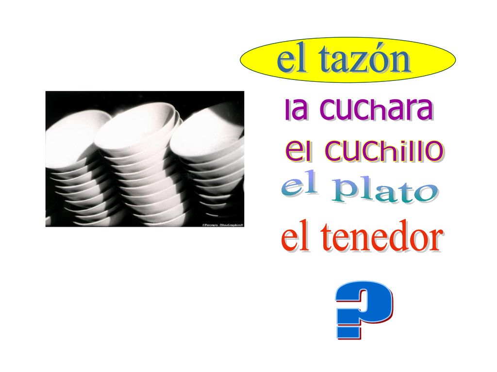 el tazón la cuchara el cuchillo el plato el tenedor