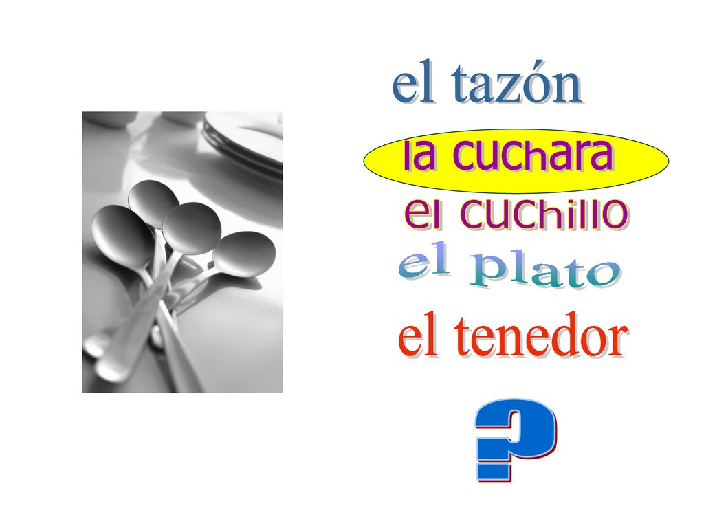 el tazón la cuchara el cuchillo el plato el tenedor