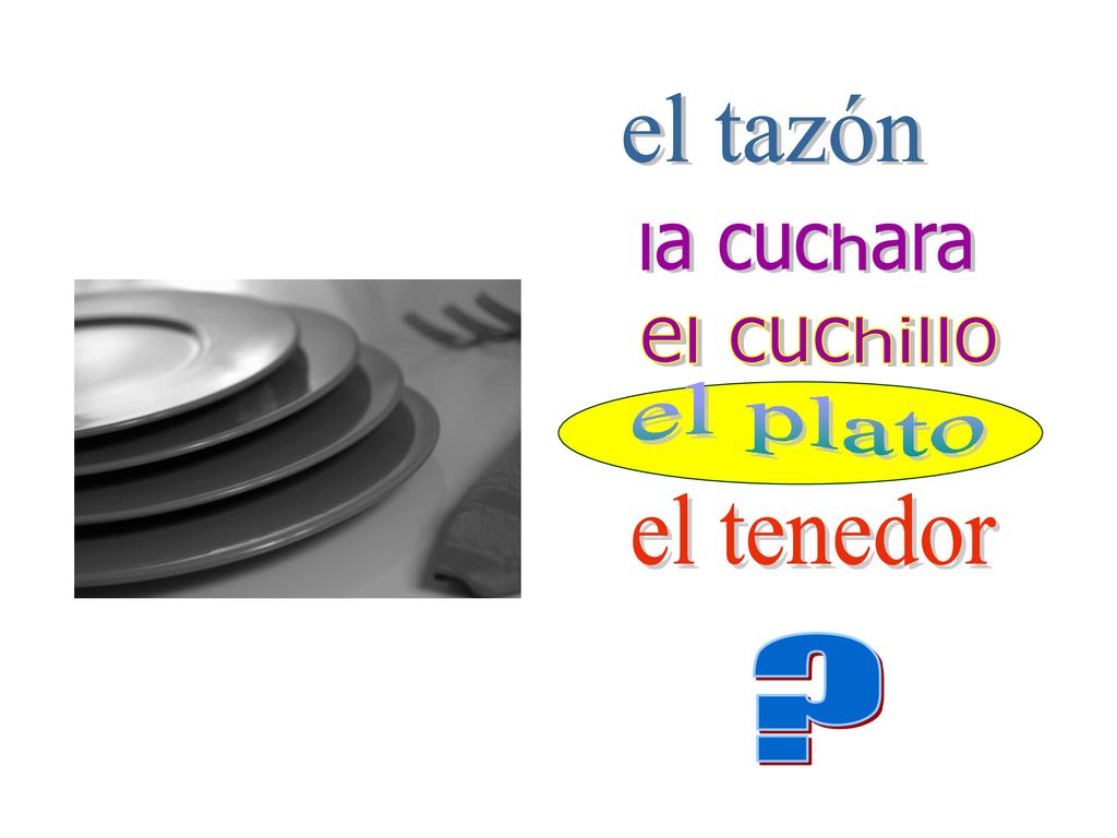 el tazón la cuchara el cuchillo el plato el tenedor