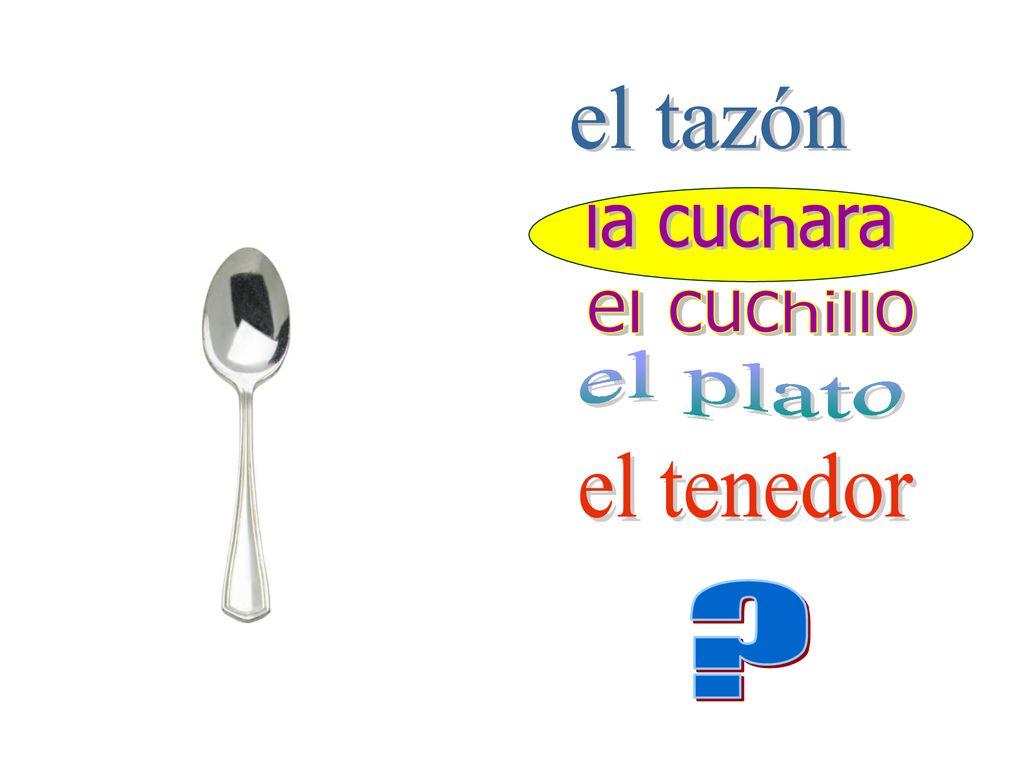 el tazón la cuchara el cuchillo el plato el tenedor