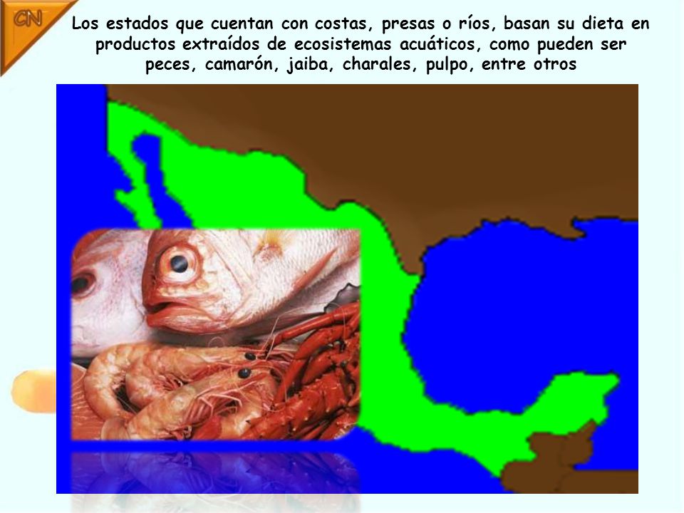 Los estados que cuentan con costas, presas o ríos, basan su dieta en productos extraídos de ecosistemas acuáticos, como pueden ser peces, camarón, jaiba, charales, pulpo, entre otros
