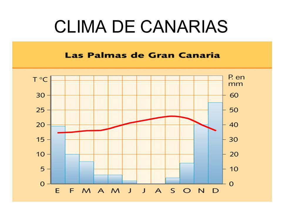 CLIMA DE CANARIAS