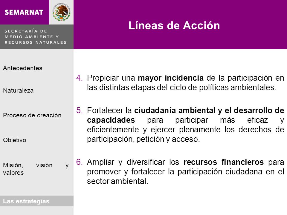 Líneas de Acción Propiciar una mayor incidencia de la participación en las distintas etapas del ciclo de políticas ambientales.
