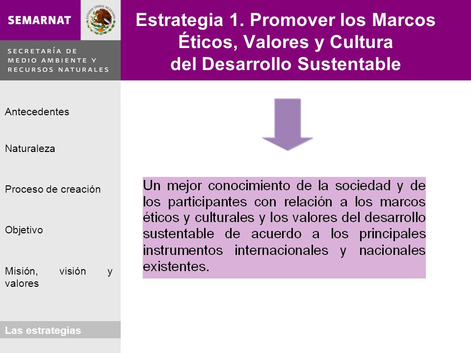 Estrategia 1. Promover los Marcos Éticos, Valores y Cultura del Desarrollo Sustentable
